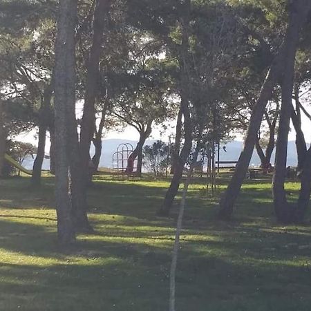 Apartman Petar Zadar Exterior foto