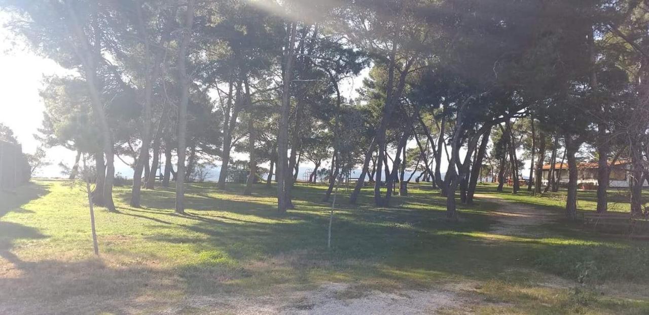 Apartman Petar Zadar Exterior foto